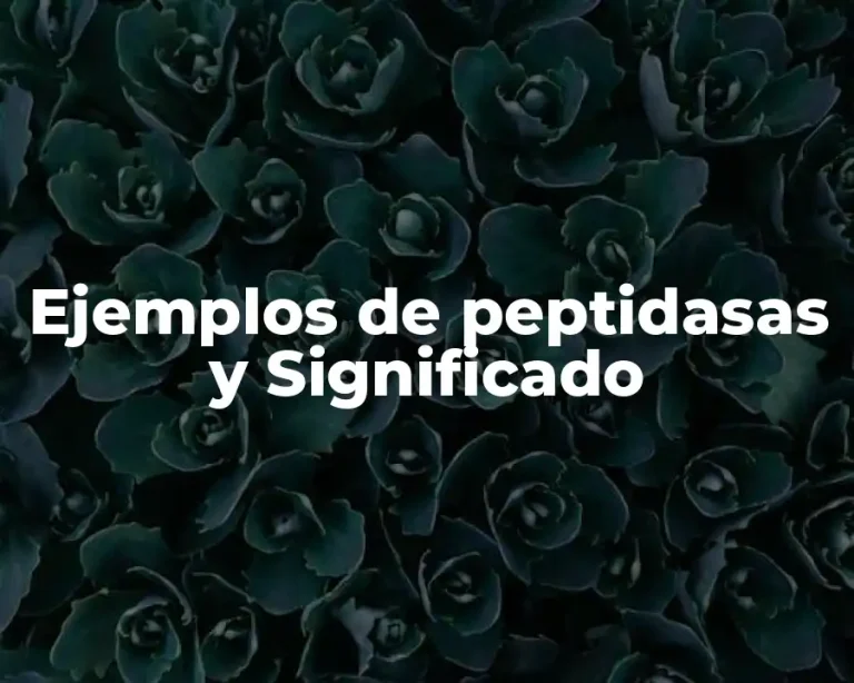 Ejemplos de peptidasas y Significado