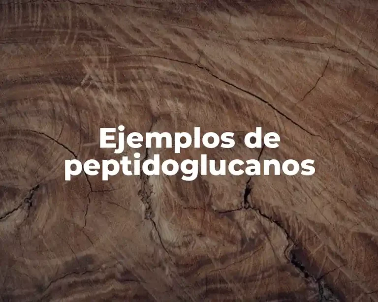 Ejemplos de peptidoglucanos
