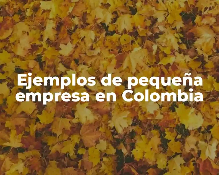 Ejemplos de pequeña empresa en Colombia