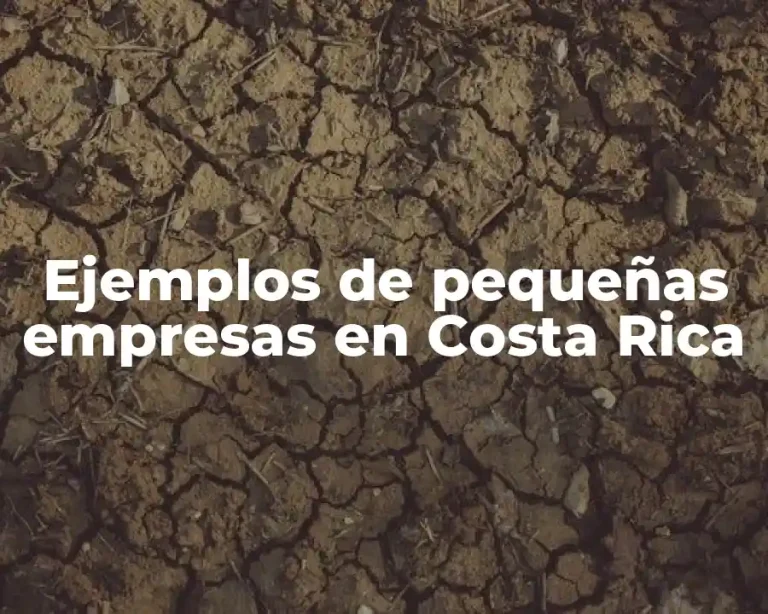 Ejemplos de pequeñas empresas en Costa Rica
