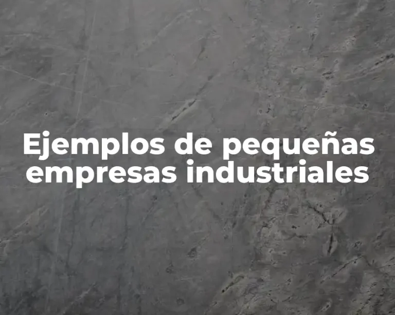 Ejemplos de pequeñas empresas industriales
