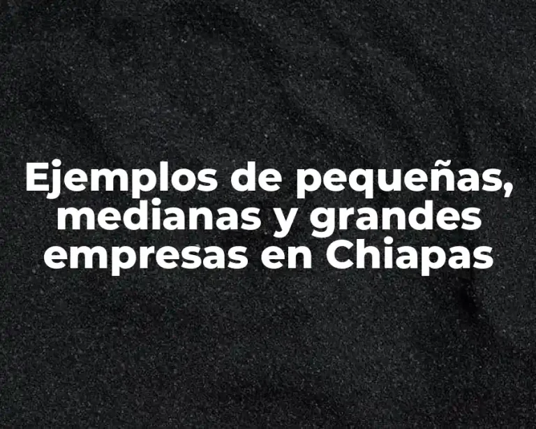 Ejemplos de pequeñas, medianas y grandes empresas en Chiapas