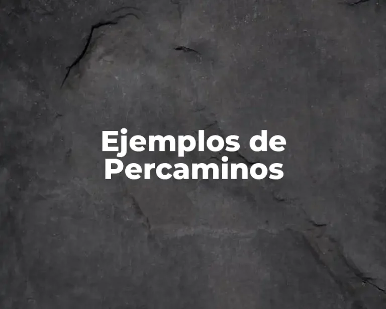 Ejemplos de Percaminos