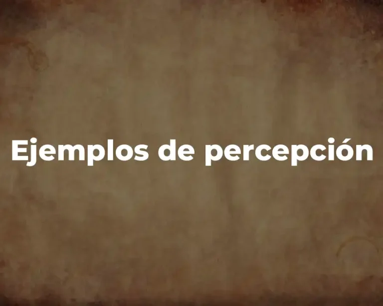 Ejemplos de percepción