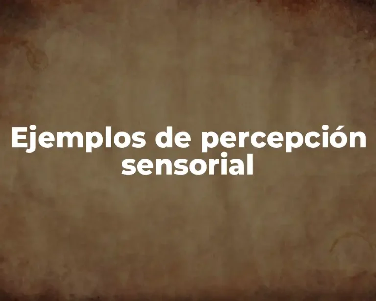 Ejemplos de percepción sensorial