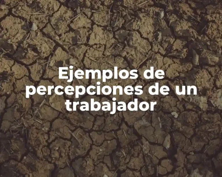 Ejemplos de percepciones de un trabajador