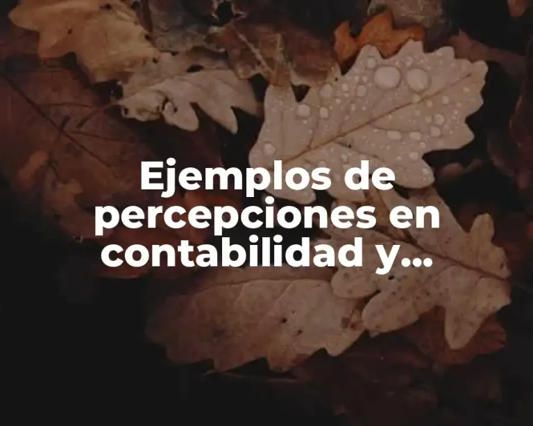 Ejemplos de percepciones en contabilidad y Significado