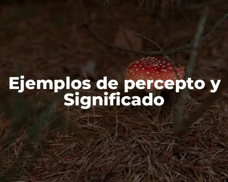 Ejemplos de percepto y Significado