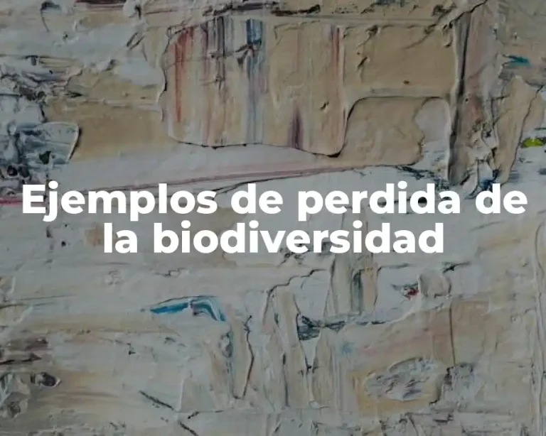 Ejemplos de perdida de la biodiversidad