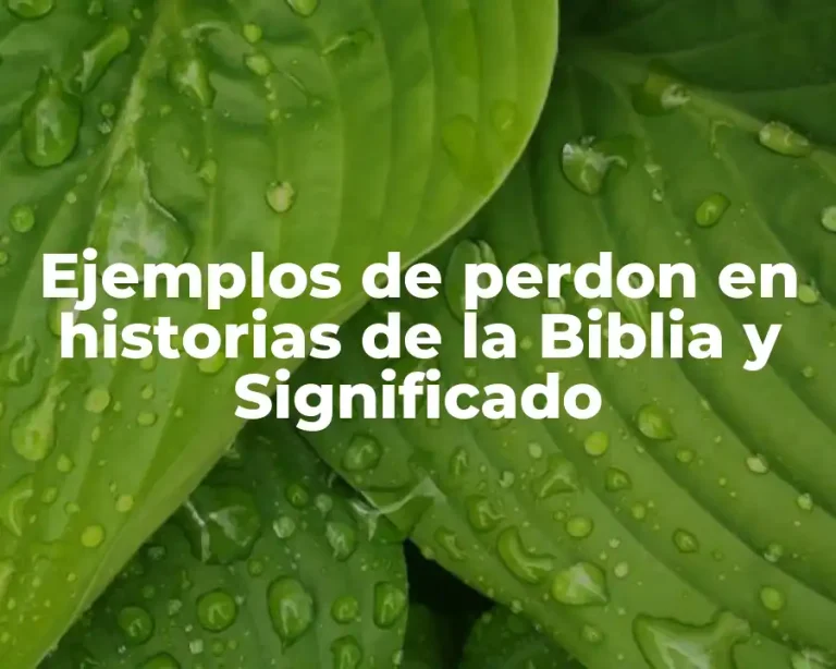 Ejemplos de perdon en historias de la Biblia y Significado