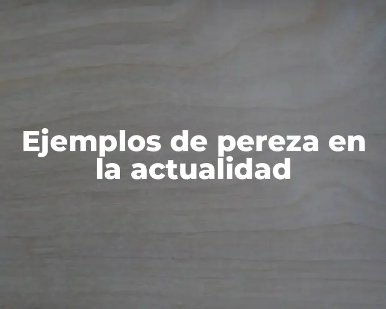 Ejemplos de pereza en la actualidad