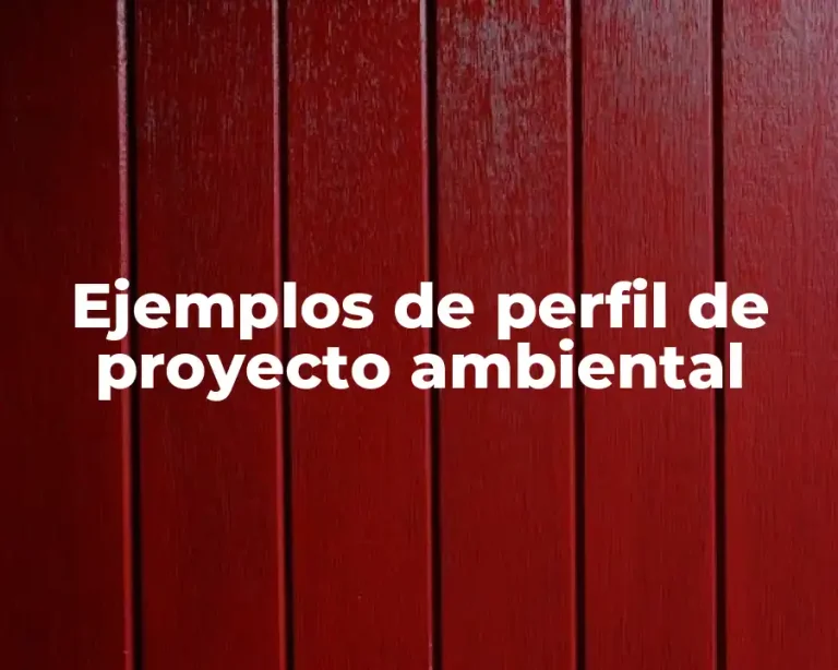 Ejemplos de perfil de proyecto ambiental