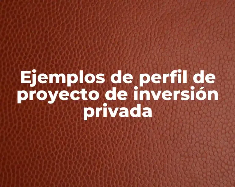 Ejemplos de perfil de proyecto de inversión privada