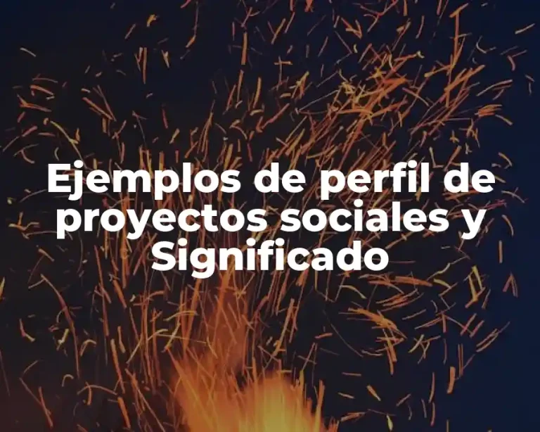Ejemplos de perfil de proyectos sociales y Significado