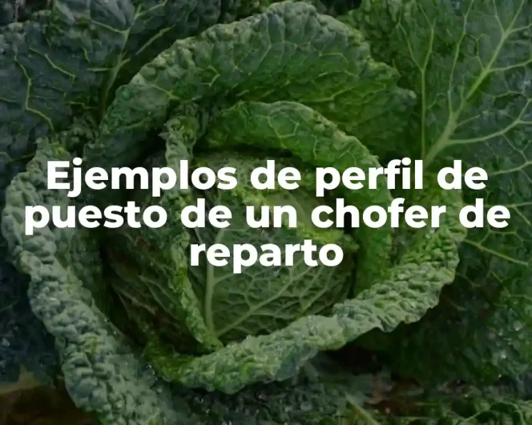Ejemplos de perfil de puesto de un chofer de reparto