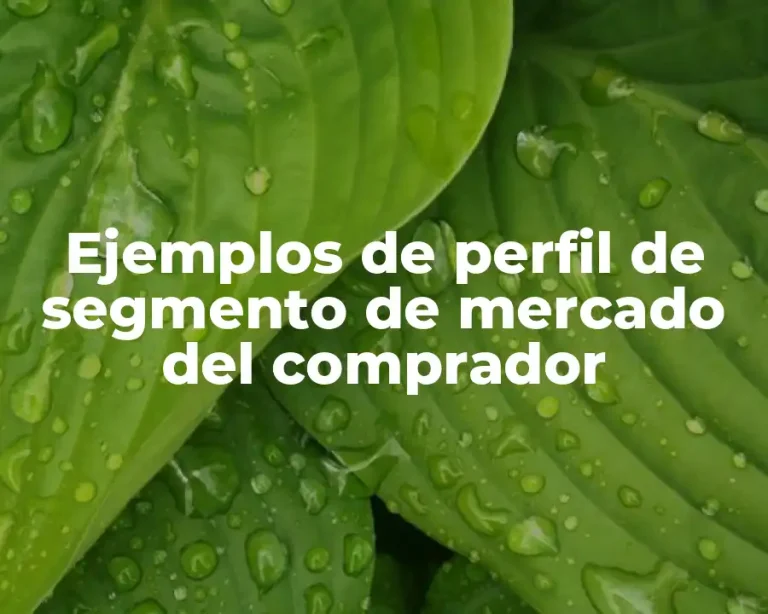 Ejemplos de perfil de segmento de mercado del comprador