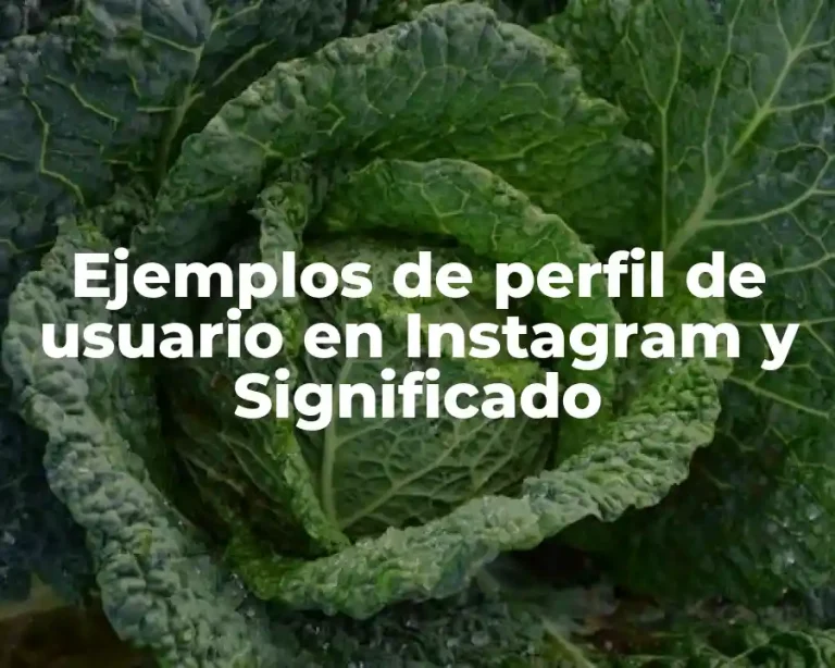 Ejemplos de perfil de usuario en Instagram y Significado
