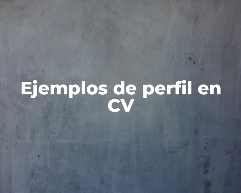 Ejemplos de perfil en CV