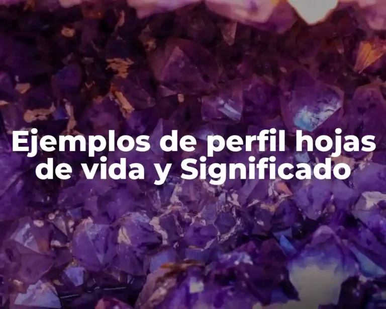 Ejemplos de perfil hojas de vida y Significado