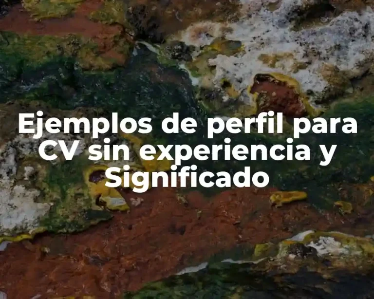 Ejemplos de perfil para CV sin experiencia y Significado