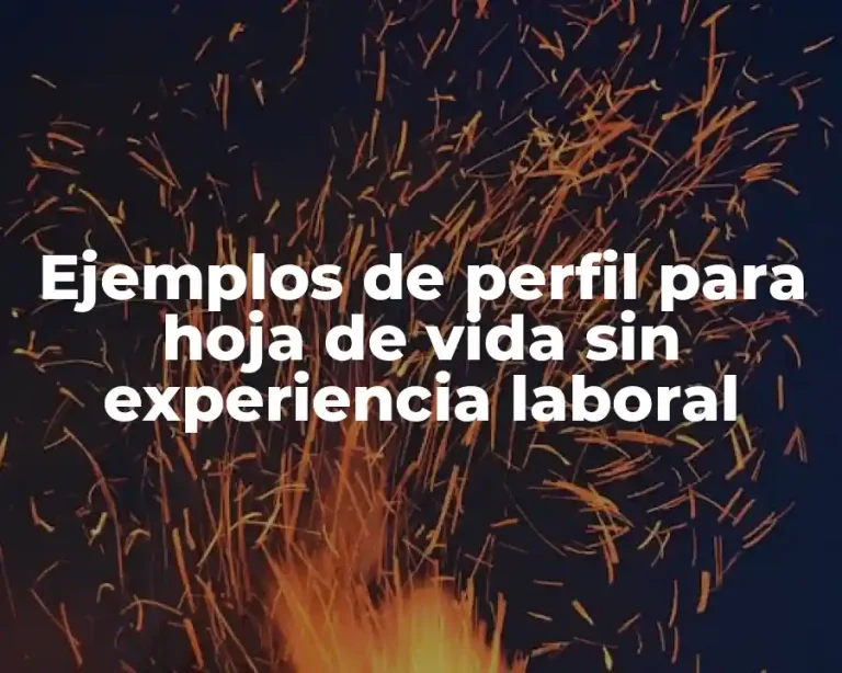 Ejemplos de perfil para hoja de vida sin experiencia laboral