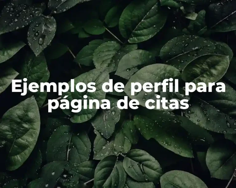 Ejemplos de perfil para página de citas