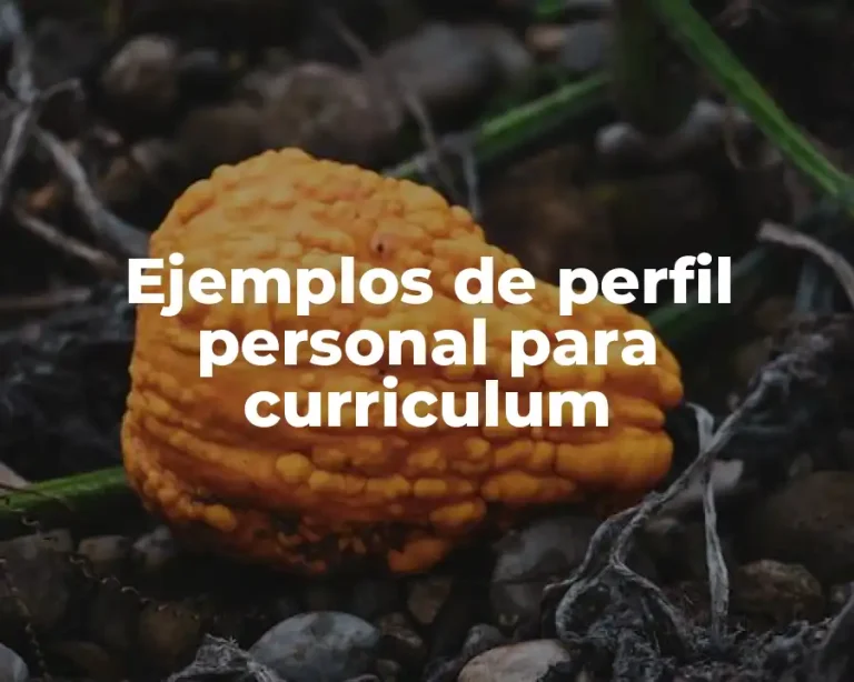 Ejemplos de perfil personal para curriculum