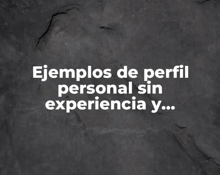 Ejemplos de perfil personal sin experiencia y Significado