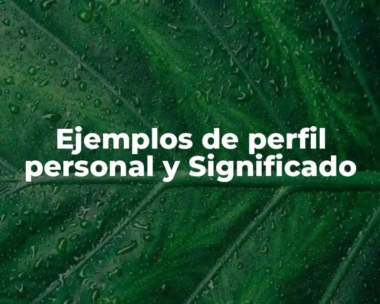 Ejemplos de perfil personal y Significado