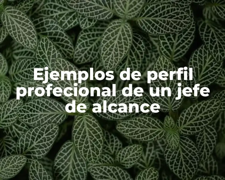 Ejemplos de perfil profecional de un jefe de alcance