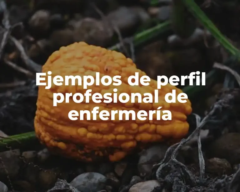 Ejemplos de perfil profesional de enfermería