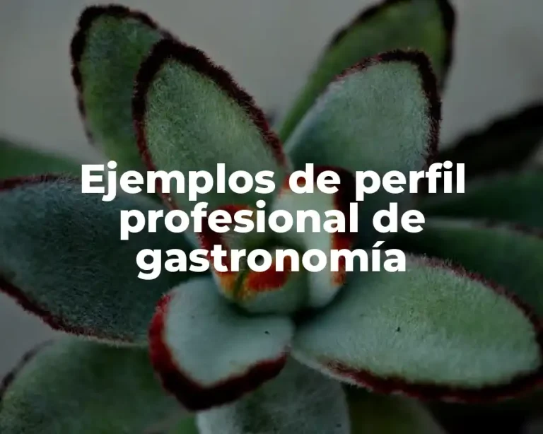 Ejemplos de perfil profesional de gastronomía