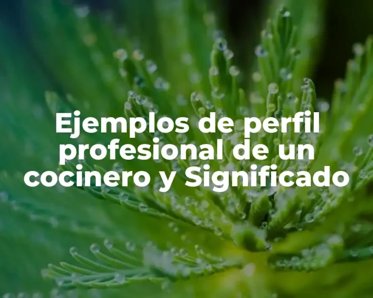 Ejemplos de perfil profesional de un cocinero y Significado