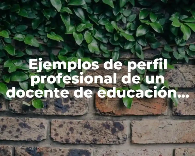 Ejemplos de perfil profesional de un docente de educación física y Significado
