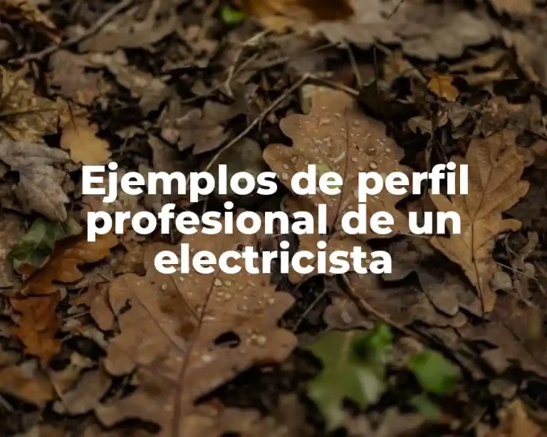 Ejemplos de perfil profesional de un electricista