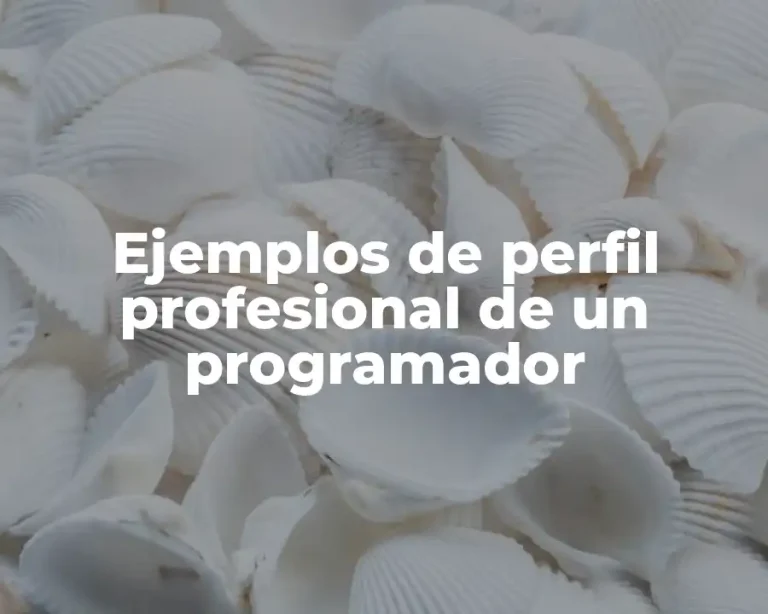 Ejemplos de perfil profesional de un programador