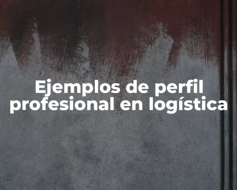 Ejemplos de perfil profesional en logística