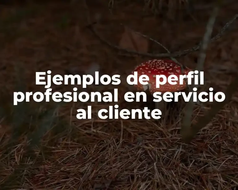 Ejemplos de perfil profesional en servicio al cliente