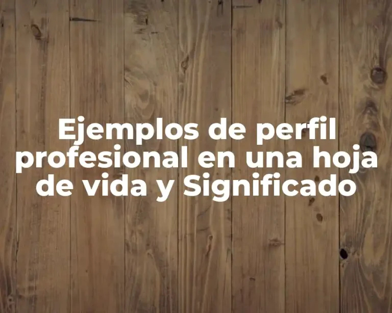 Ejemplos de perfil profesional en una hoja de vida y Significado
