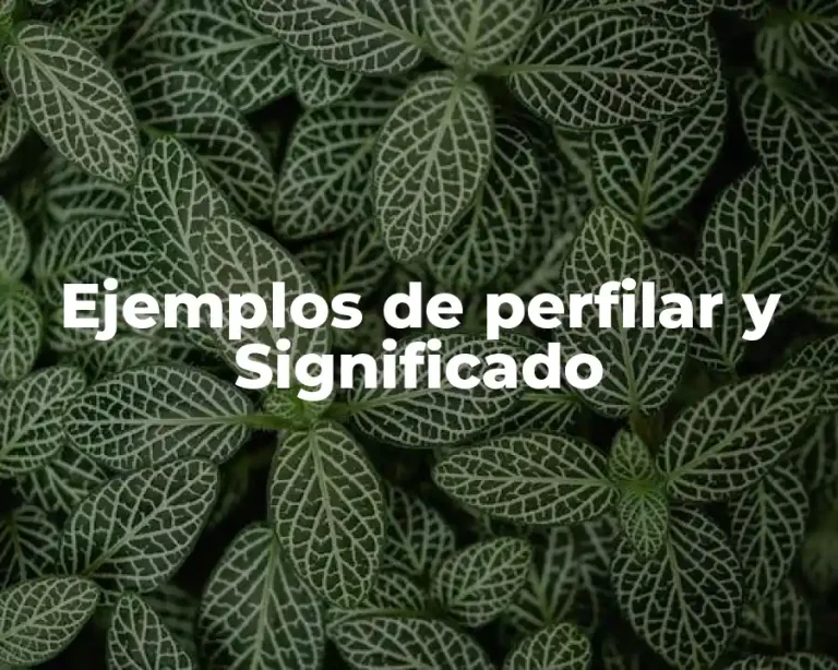 Ejemplos de perfilar y Significado