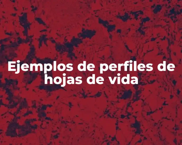 Ejemplos de perfiles de hojas de vida
