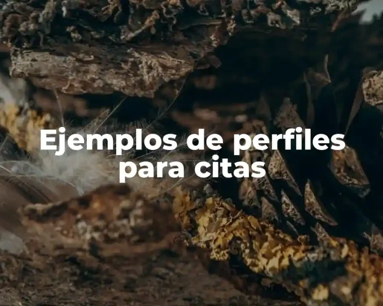 Ejemplos de perfiles para citas