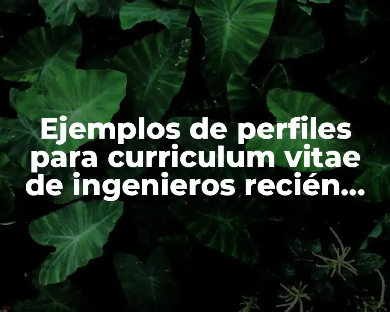 Ejemplos de perfiles para curriculum vitae de ingenieros recién egresados