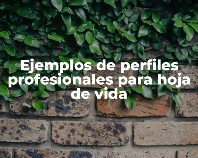 Ejemplos de perfiles profesionales para hoja de vida