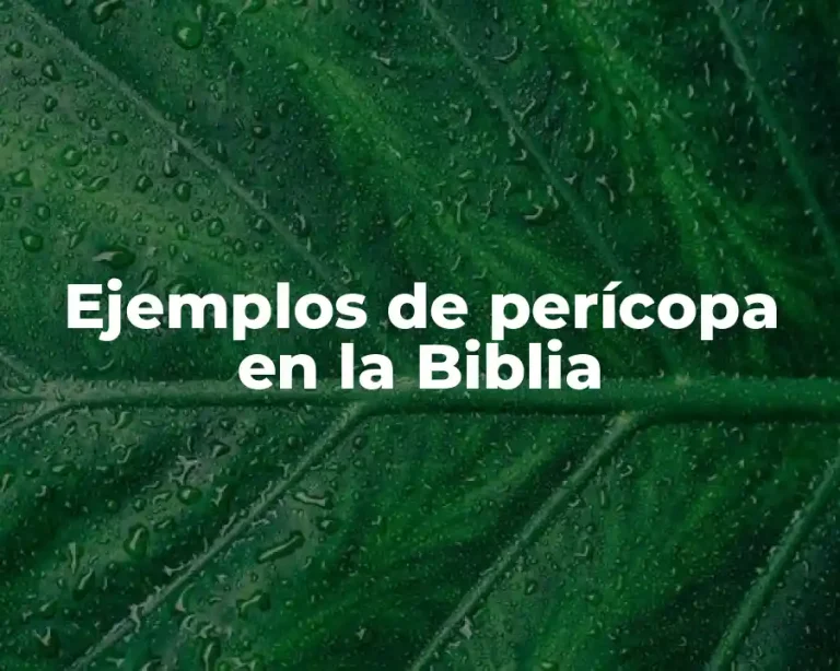 Ejemplos de perícopa en la Biblia