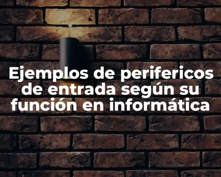 Ejemplos de perifericos de entrada según su función en informática