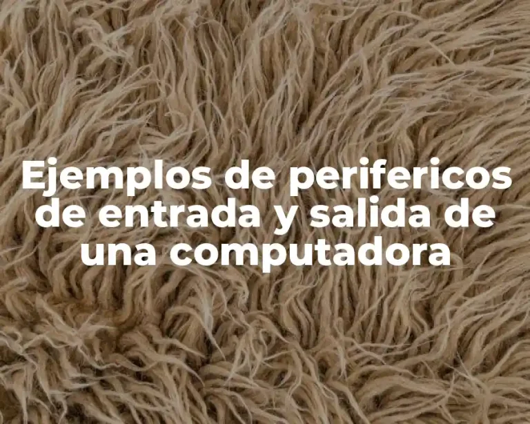 Ejemplos de perifericos de entrada y salida de una computadora