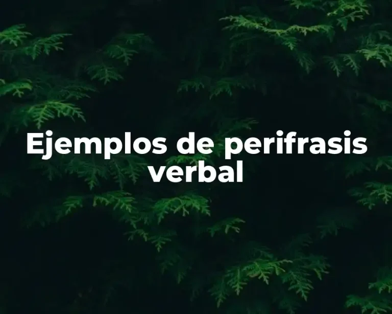 Ejemplos de perifrasis verbal
