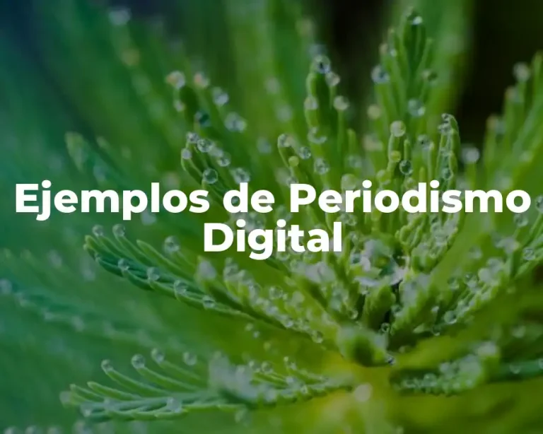 Ejemplos de Periodismo Digital