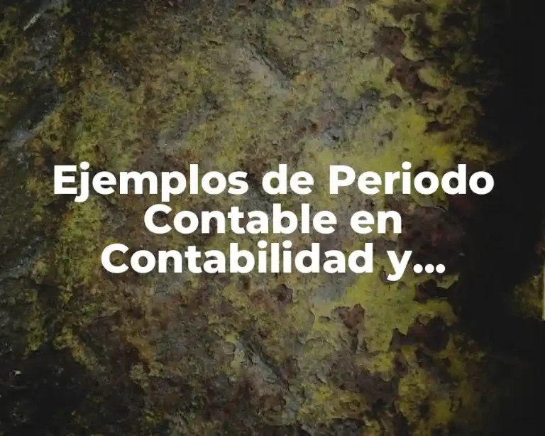 Ejemplos de Periodo Contable en Contabilidad y Significado